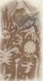 Thumbnail for version as of 18:07, 15 April 2024