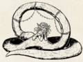 Thumbnail for version as of 22:06, 13 April 2024