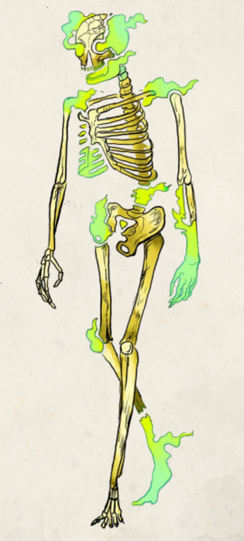 File:Skeleton.png