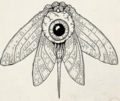 Thumbnail for version as of 12:56, 12 April 2024