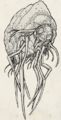 Thumbnail for version as of 16:45, 14 April 2024